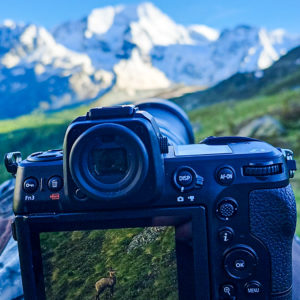 Immersion Nature - Initiation à la photographie animalière (1/2 journée)